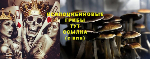 2c-b Покачи