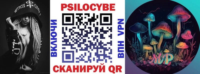 Псилоцибиновые грибы Psilocybine cubensis  Новороссийск 